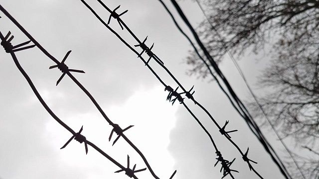 Фото: телеканал «Краснодар» 