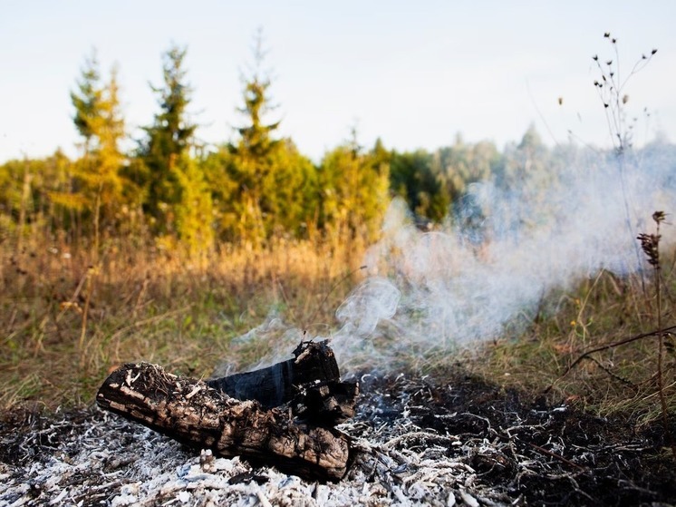 Пожар на поле чуть не спалил деревню в Томском районе