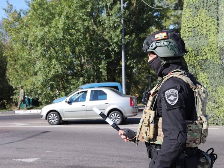 Курские гаишники нашли во рту петербурженки пакет с наркотиками