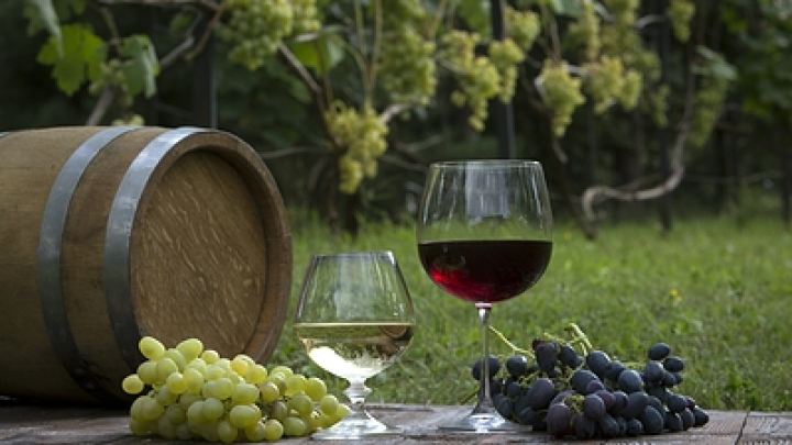 Итальянские виноделы начали выдерживать виноград и вино на морском дне