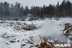 В курганском городе вспыхнул скандал с властями и бизнесменами из-за слива отходов в леса