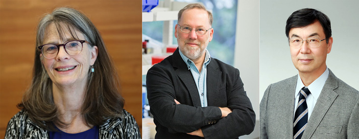 Рис. 1. Лауреаты Нобелевской премии по физиологии 2025 года