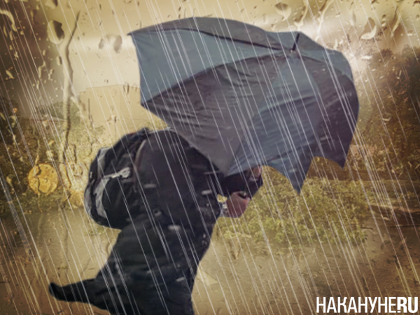 Фото: Накануне.RU