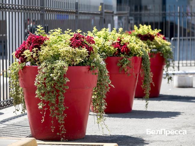 Как отдохнуть белгородцам 5–7 сентября - Изображение 1