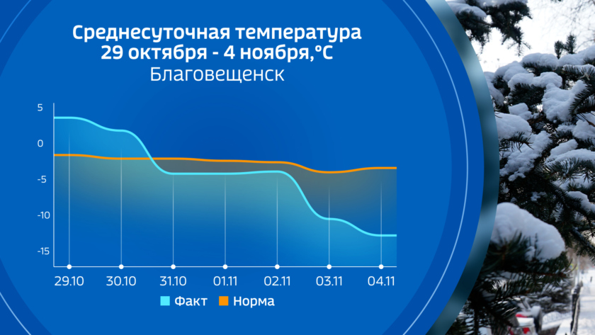 Погода в свободном амурская область на сегодня. Амурская область климат по месяцам. Погода Амурский