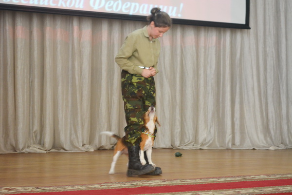 28.06.24 охрана6.jpg
