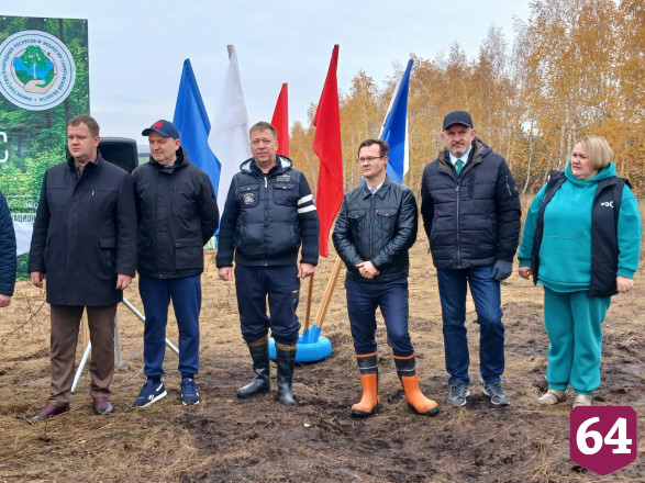 Осенью в Саратовской области высадят 3 миллиона сеянцев 