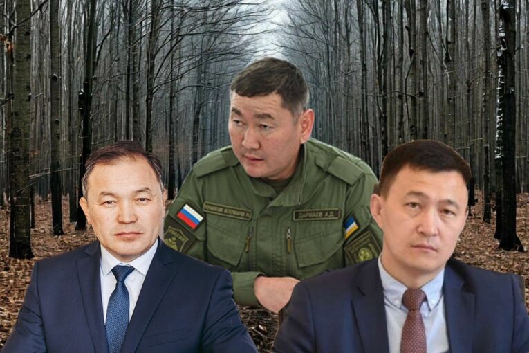 чиновники на сво