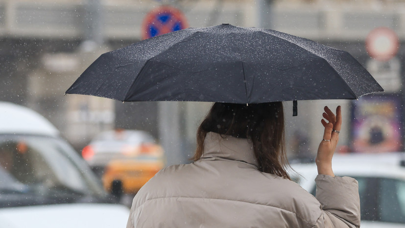 Синоптик Ильин: на Москву надвигается циклон с дождём и мокрым снегом