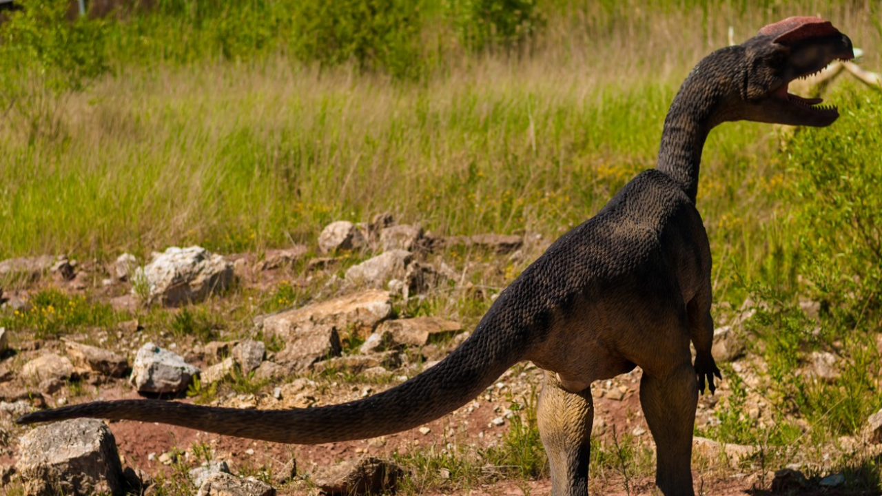 В окрестностях французского города Экс-ан-Прова...