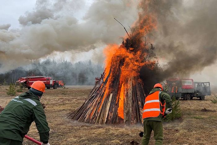 Областные учения ликвидации лесных пожаров прошли в Кирсе