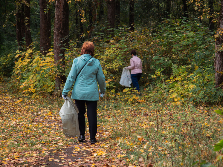 Погода позволила провести уборку на территории музея в Тверской области