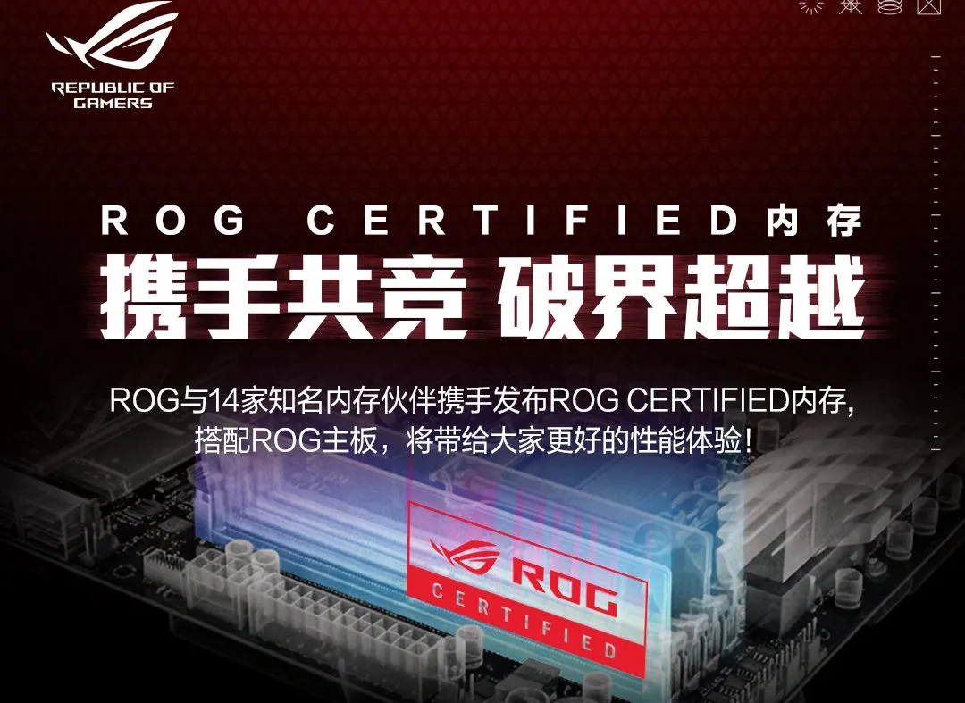 Asus выпустила свою первую оперативную память — и сразу за $880