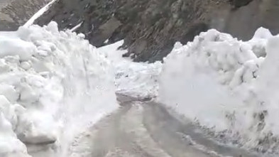 Иллюстративное фото