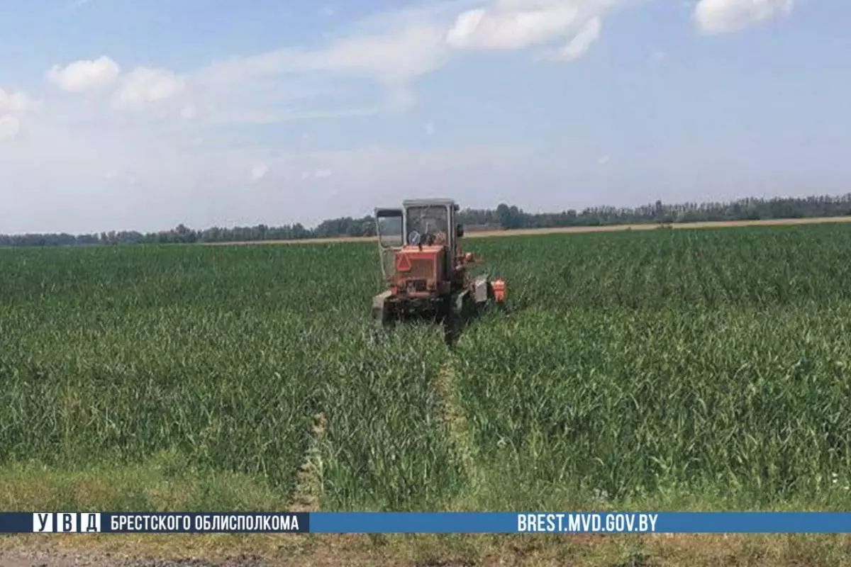 Водитель автогрейдера столкнулся с Mercedes, в котором было шестеро детей: приговор