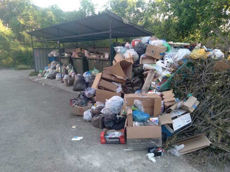 Свердловскому ТБО «Экосервису» запретили вывозить мусор