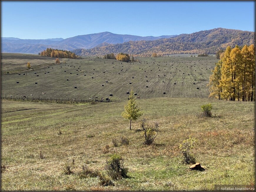 «Осенние краски Уймонской долины». Дорога, база и первые эмоции