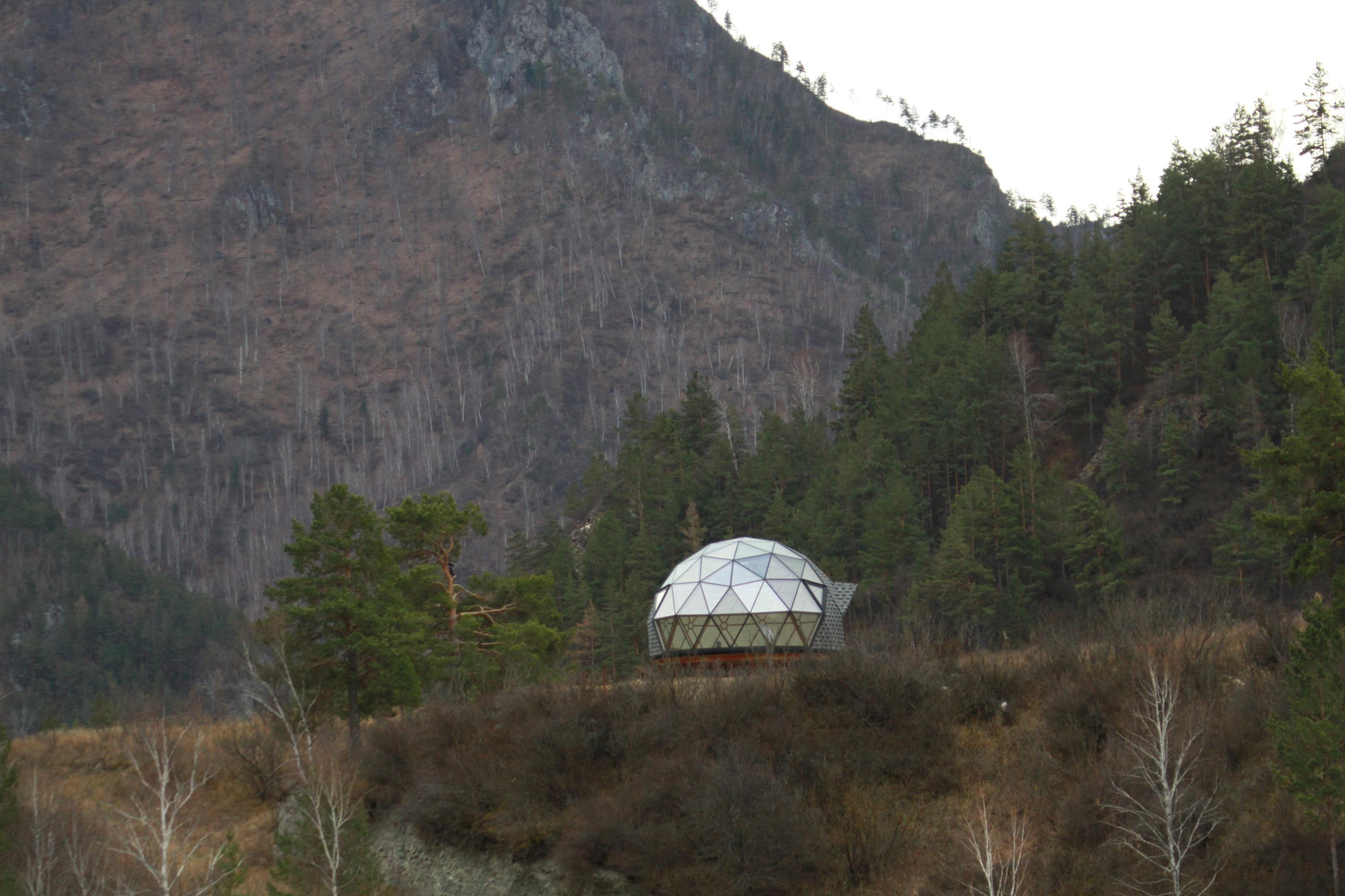 Новосибирск швейцария. Домик инопланетный. Neodome.