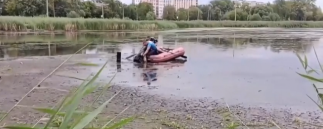 Вся суть женщин в одной картинке