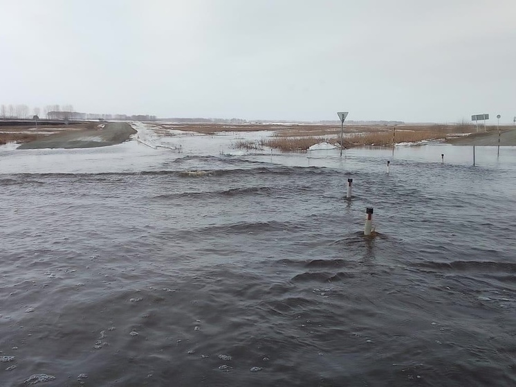В Новосибирске рассказали об угрозе распространения сибирской язвы из-за паводка