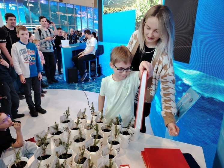 Саженцы сахалинских деревьев получили в подарок посетители выставки «Россия»