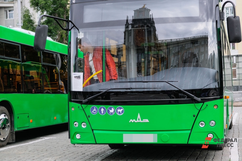 автобусы