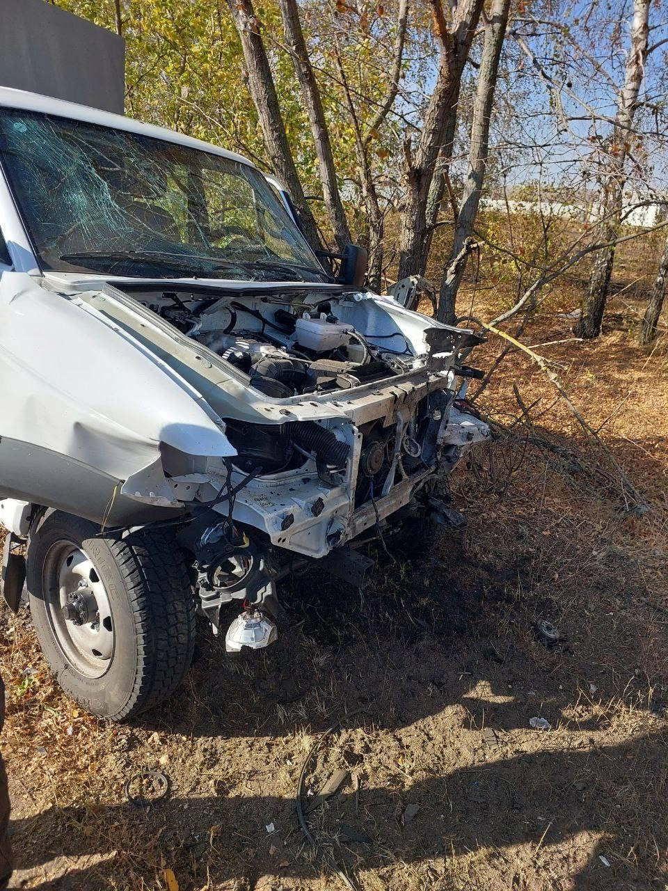 Не одного а сразу нескольких. Не одного а сразу нескольких
