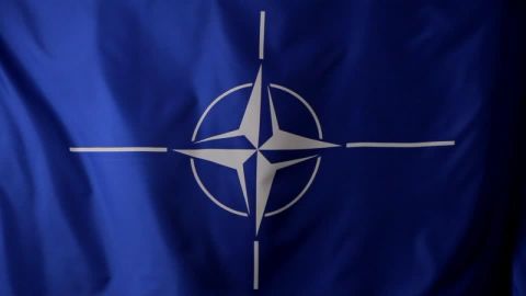 НАТО может провозгласить отказ от ввода войск на Украину – CDS
