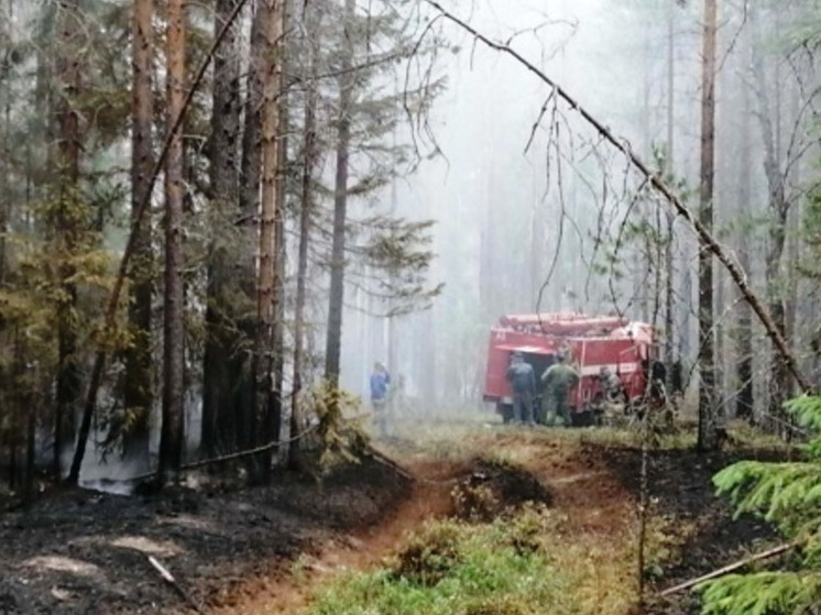 Лесной пожар в Макарьевском районе ликвидирован