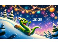 C наступающим Новым 2025 годом!