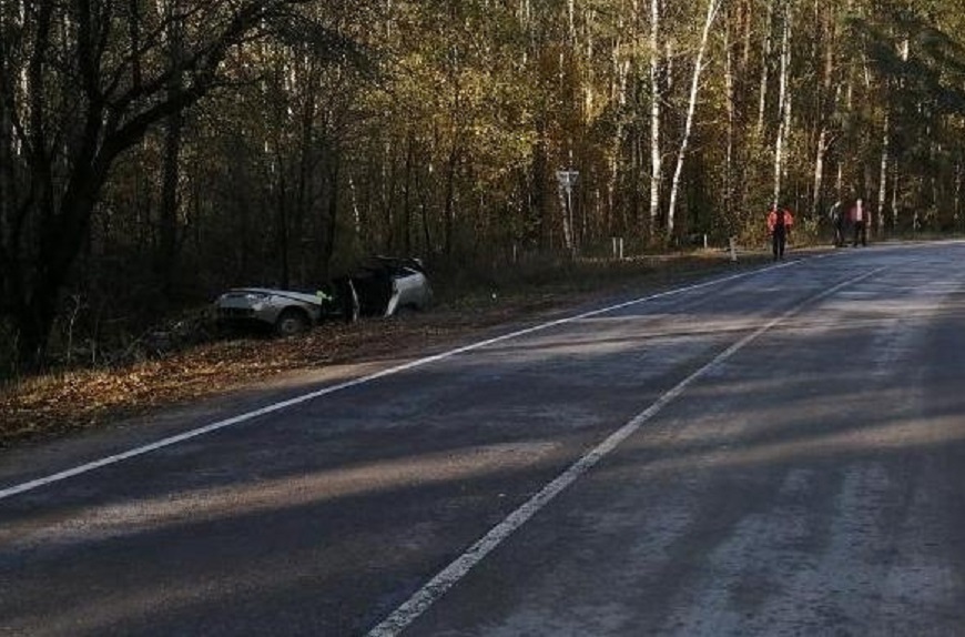 Лось на дороге под Костромой