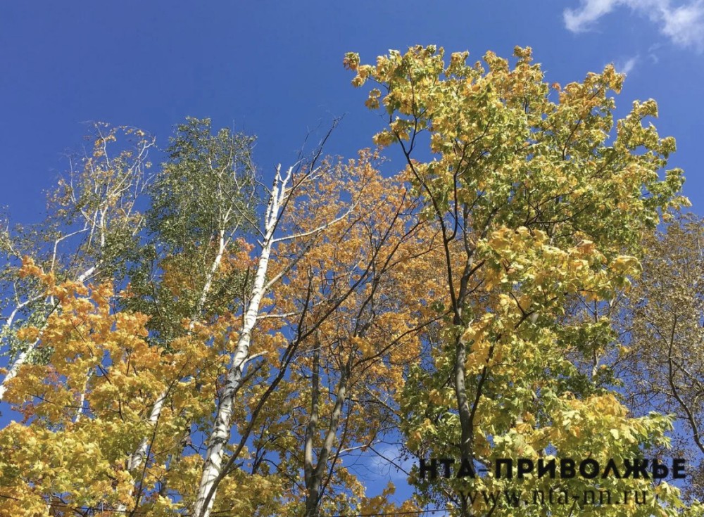 Народные приметы: 8 мая