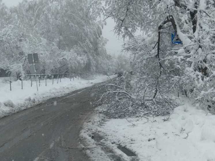 Больше всего осадков выпало в Нижнем Тагиле и Кушве