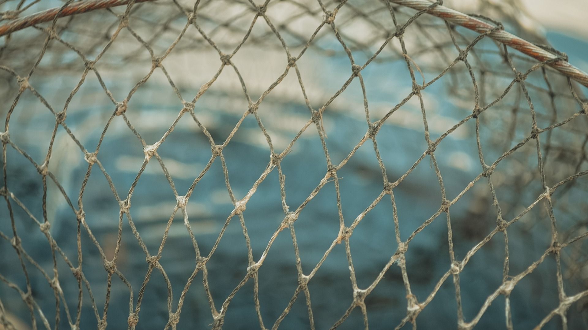 Удочки гнутся, рыбаки ликуют: рекордные уловы в Приморье — фото