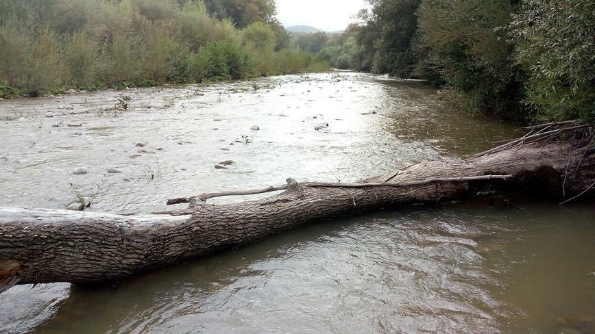Русло реки Догуаб расчистят под Геленджиком