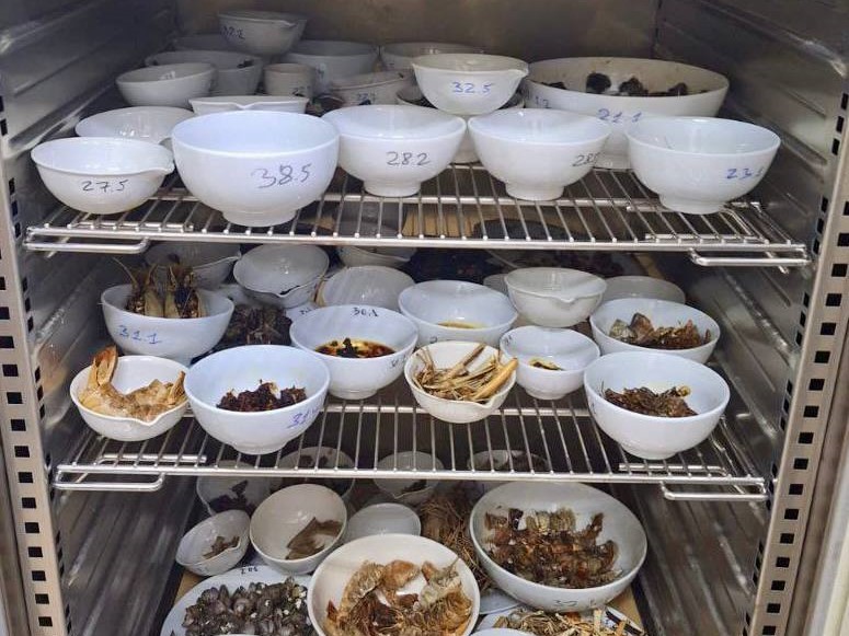 Вьетнам Донгнай 23.jpg