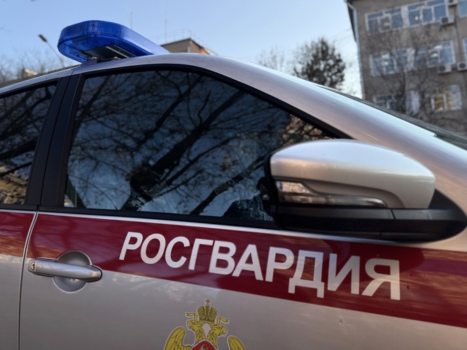 Итоги работы строевых подразделений вневедомственной охраны Росгвардии Амурской области за период с 27 апреля по 3 мая 2026 г.