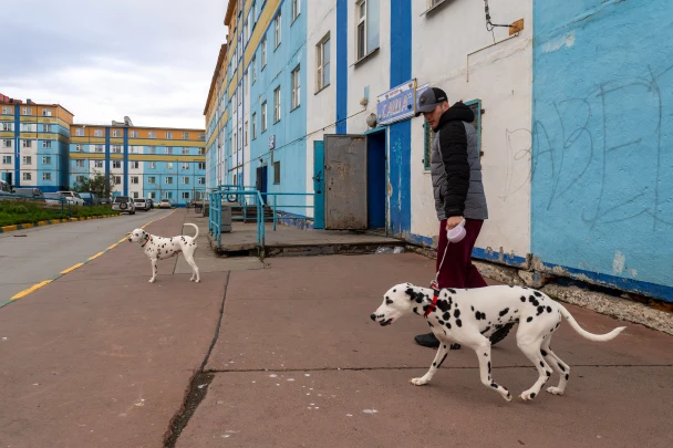 Двое далматинцев погибли от отравы в пригороде Челябинска