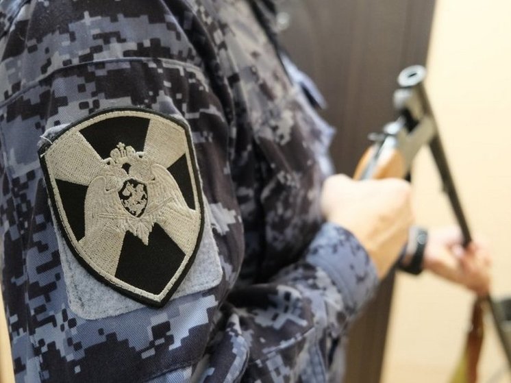 У жителей Курской области за неделю изъяли 6 единиц оружия