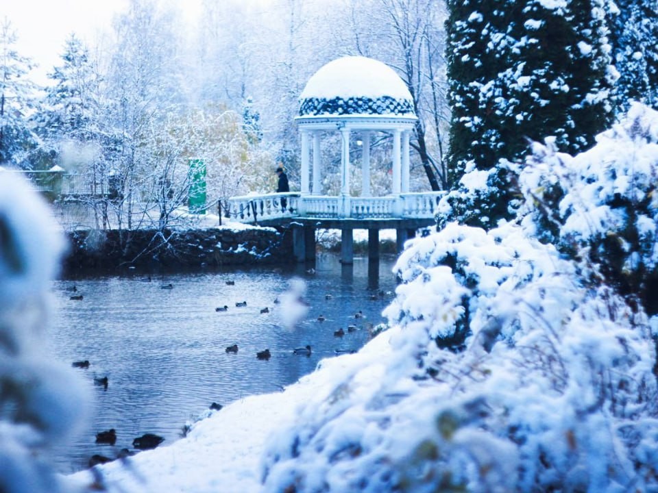 Укрепили хатки и создали стратегические запасы: какие животные в Московском регионе лучше всех подготовились к зиме