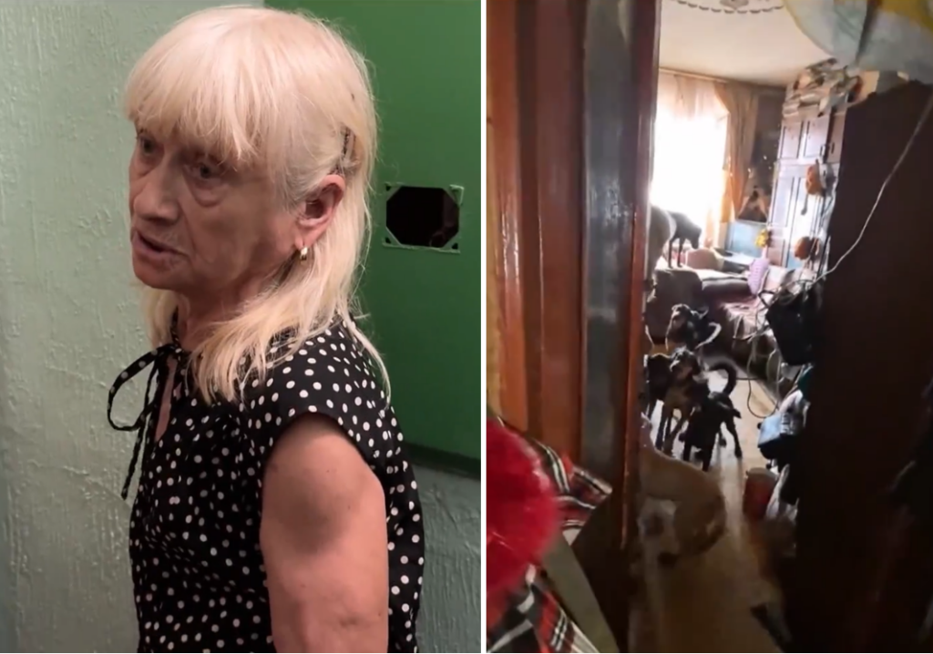 30 собак продолжают топить мочой соседей. Приставы ищут способ, как попасть в нехорошую квартиру на В. Дуброве