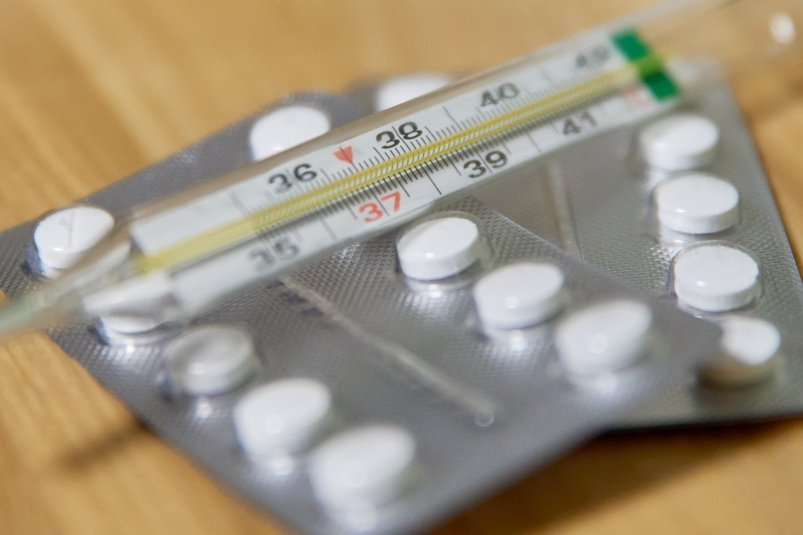 Россиянам напомнили о правилах лечения и профилактики при гриппе Дмитрий Осипчук, ИА PrimaMedia.ru