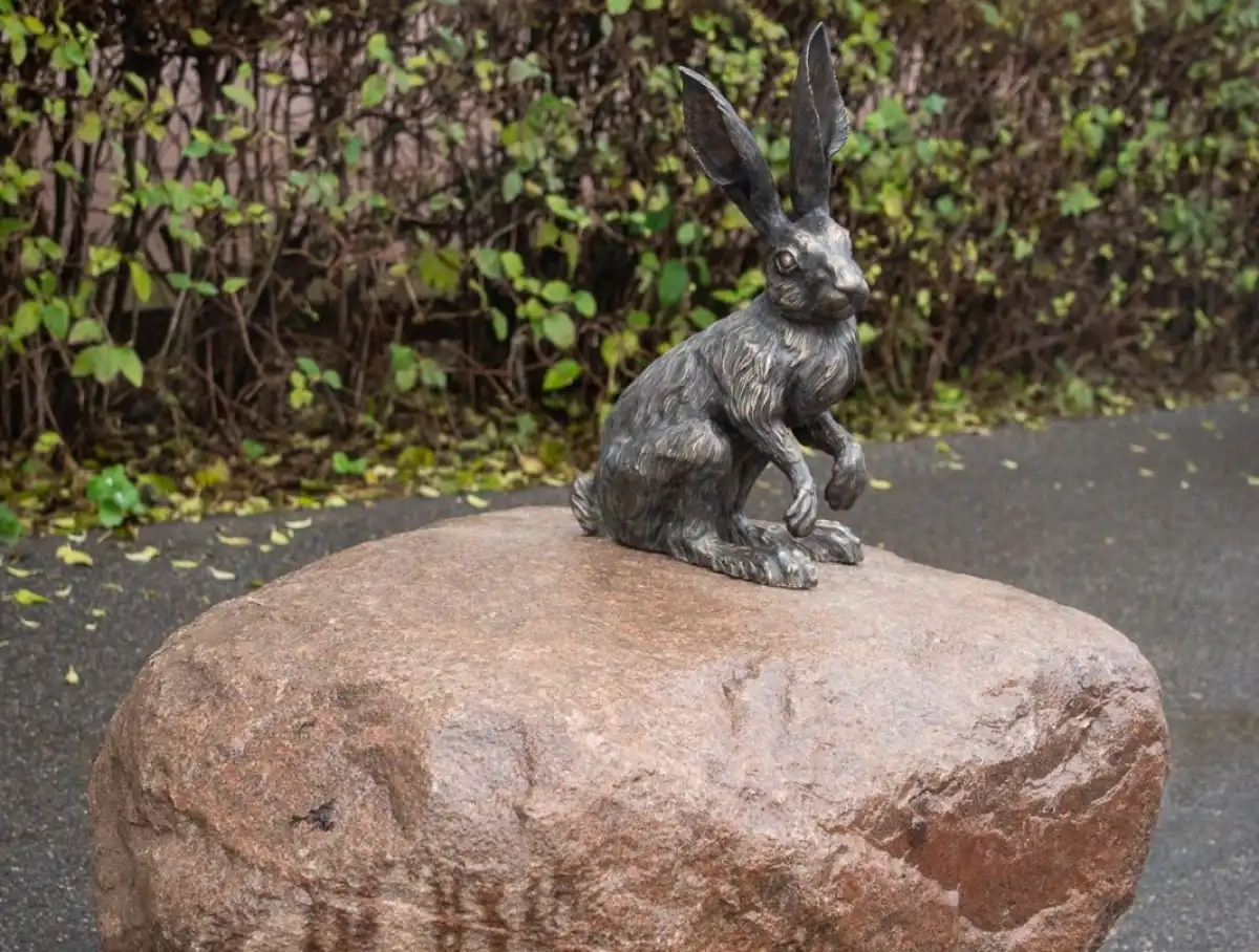 24-30.11.2025 Лента новостей