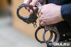 Басманный суд арестовал экс-главу аппарата Партии пенсионеров по делу о мошенничестве