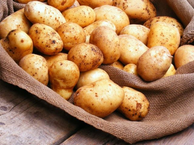 Лучшие сорта картофеля для Южного и Среднего Урала: семенного, новые, отзывы