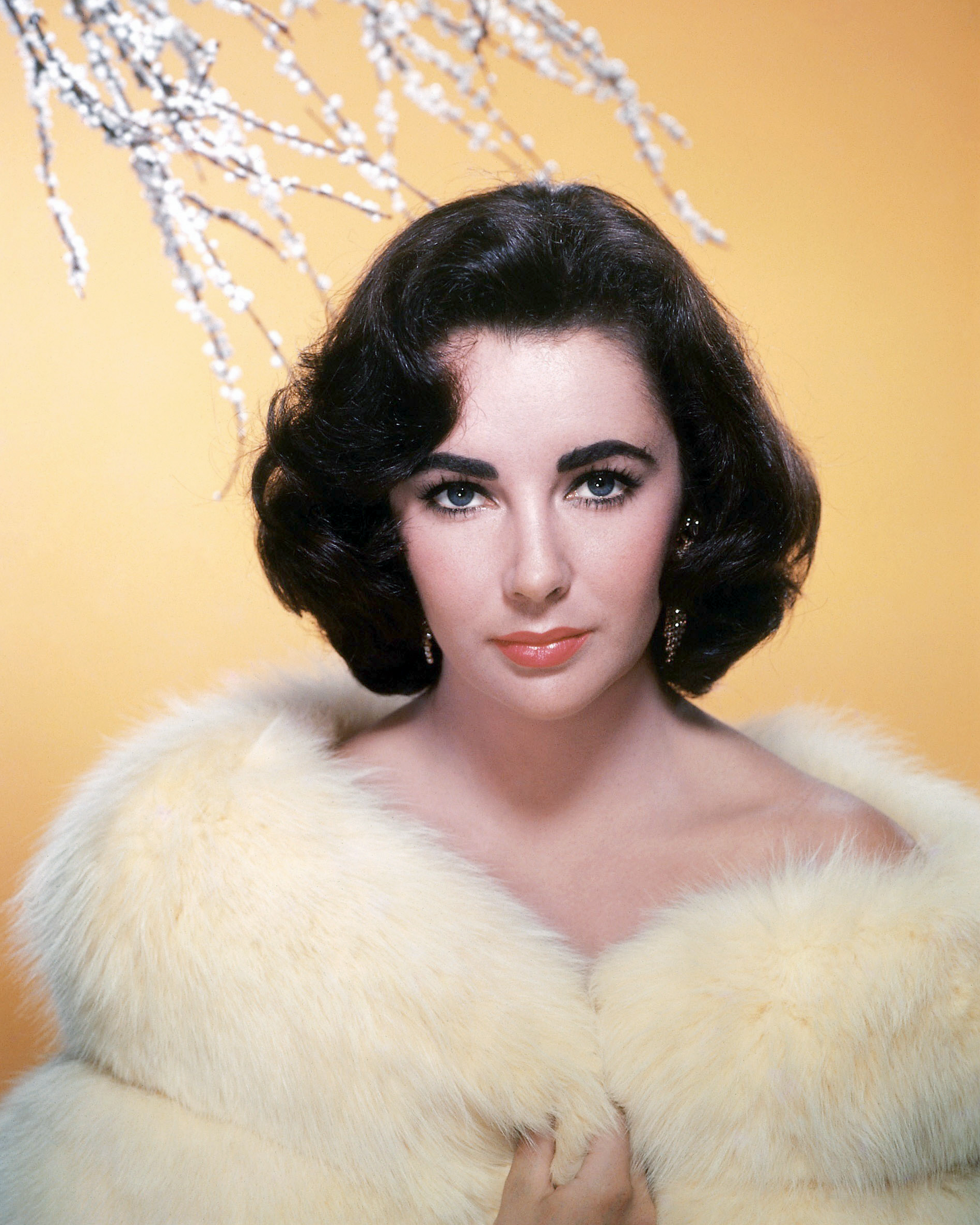 Фиалковые глаза. Элизабет Тейлор. Элизабет Тейлор Elizabeth Taylor. Элизабет Тейлор 2010. Элизабет Тейлор 1950.