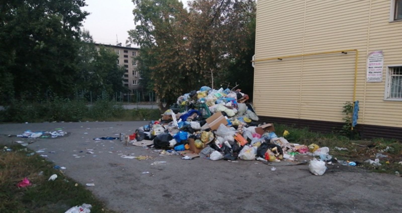 массовое скопление людей. много людей. население города красноярск. лет в городе появилось много. лет в городе появилось много.