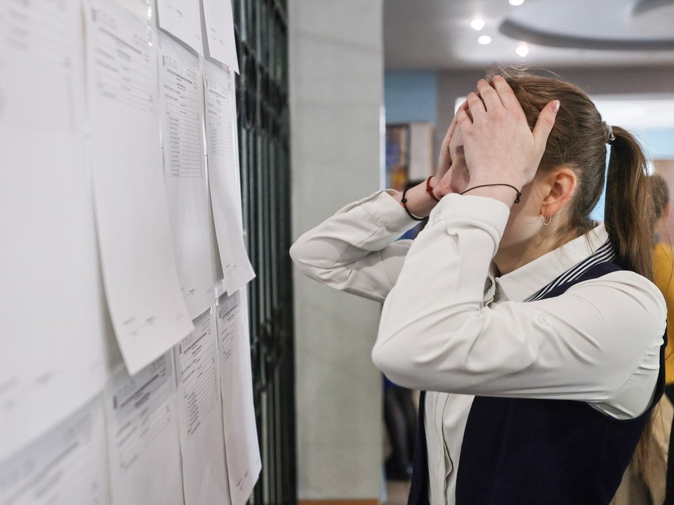 Экзамены на криминалиста после 11. Экзамены на криминалиста после 11