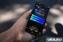 Национальный мессенджер MAX заменит WhatsApp*