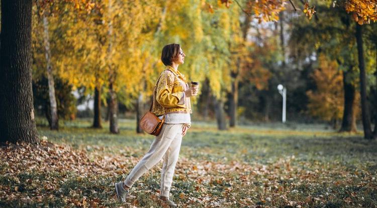 Куда сходить белгородцам в предстоящий уик-энд, 21–23 октября